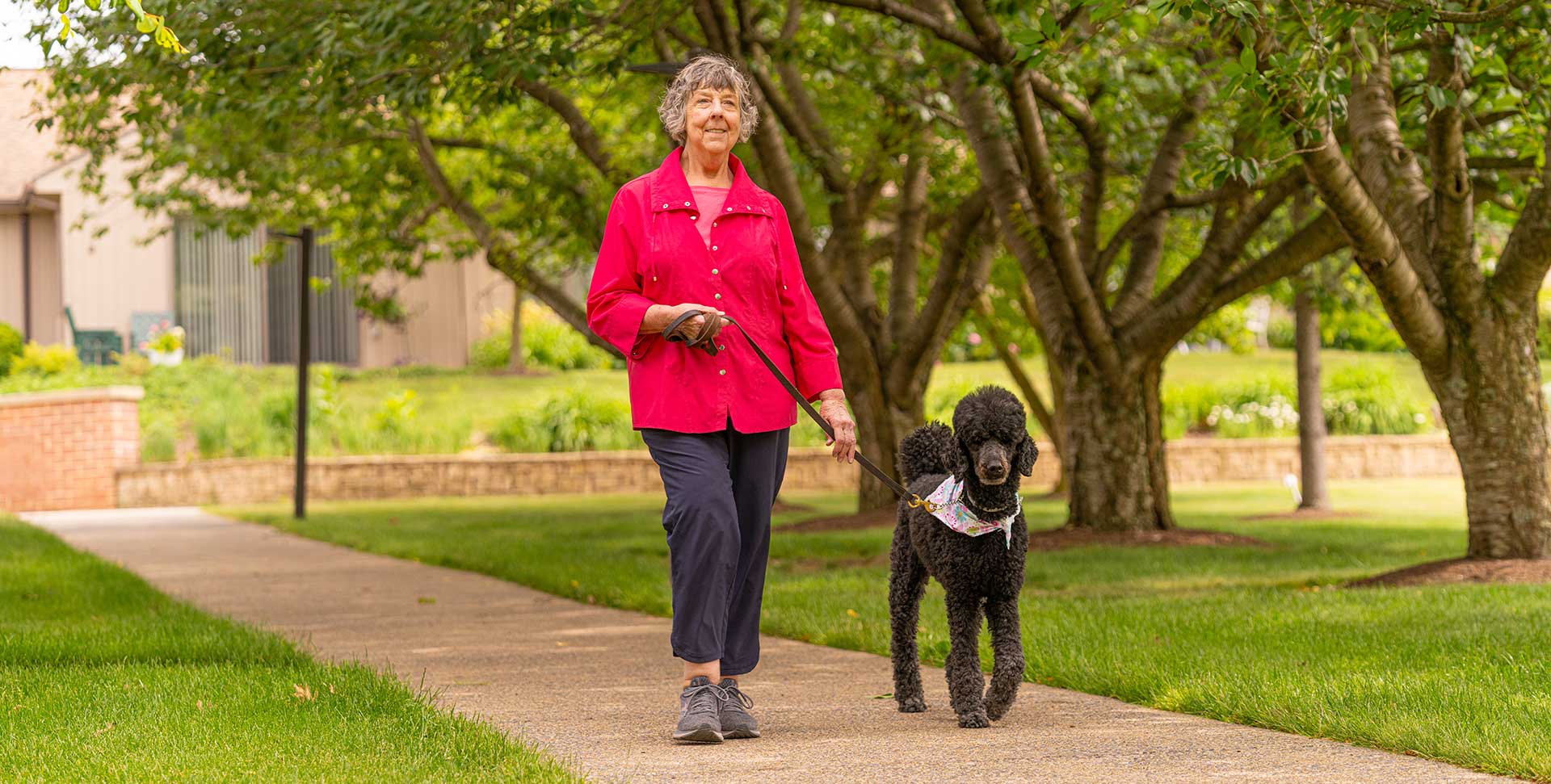 Resident walking their dog at Foxdale Village